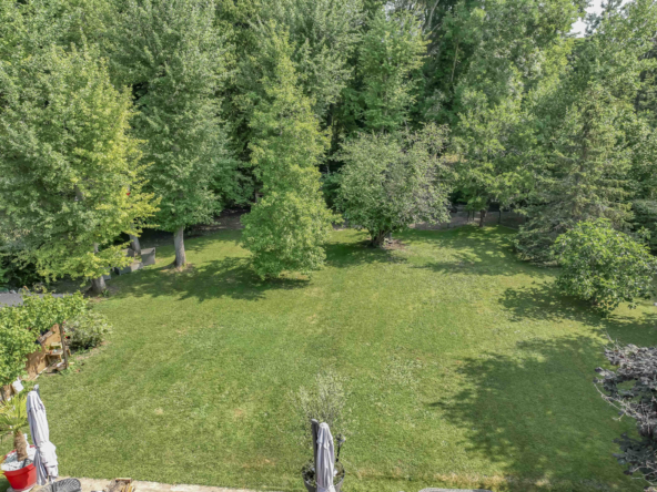 photo_5a6ca80e15cc5f7693ea8c6d31c70b87