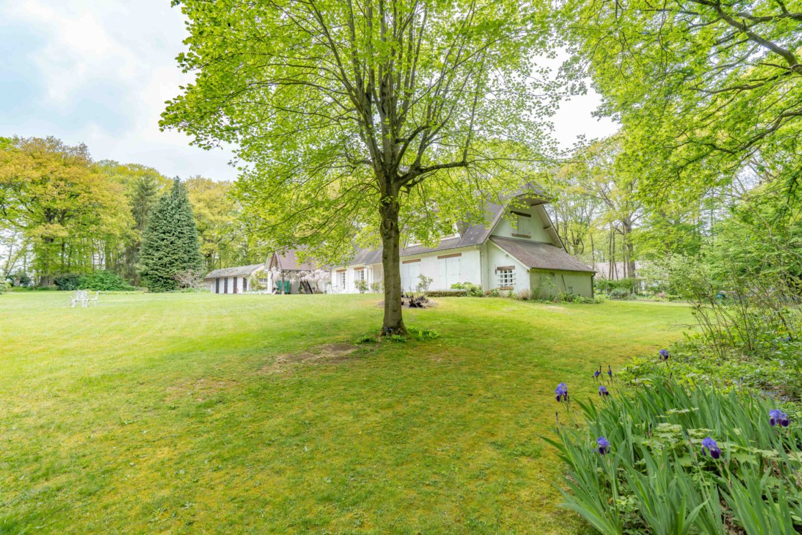 photo_5b17914519915a0c1c46647bbaa6008d