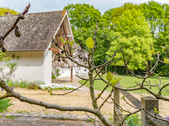 photo_5b52cb2f9c71d9f2bbd2e561c029644d