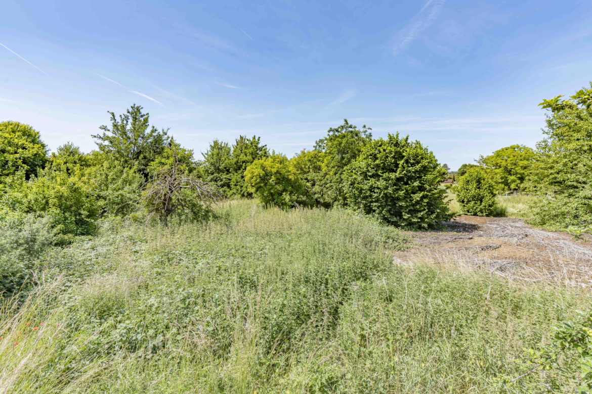 photo_624225c8ab37d06092d024a0872109f7