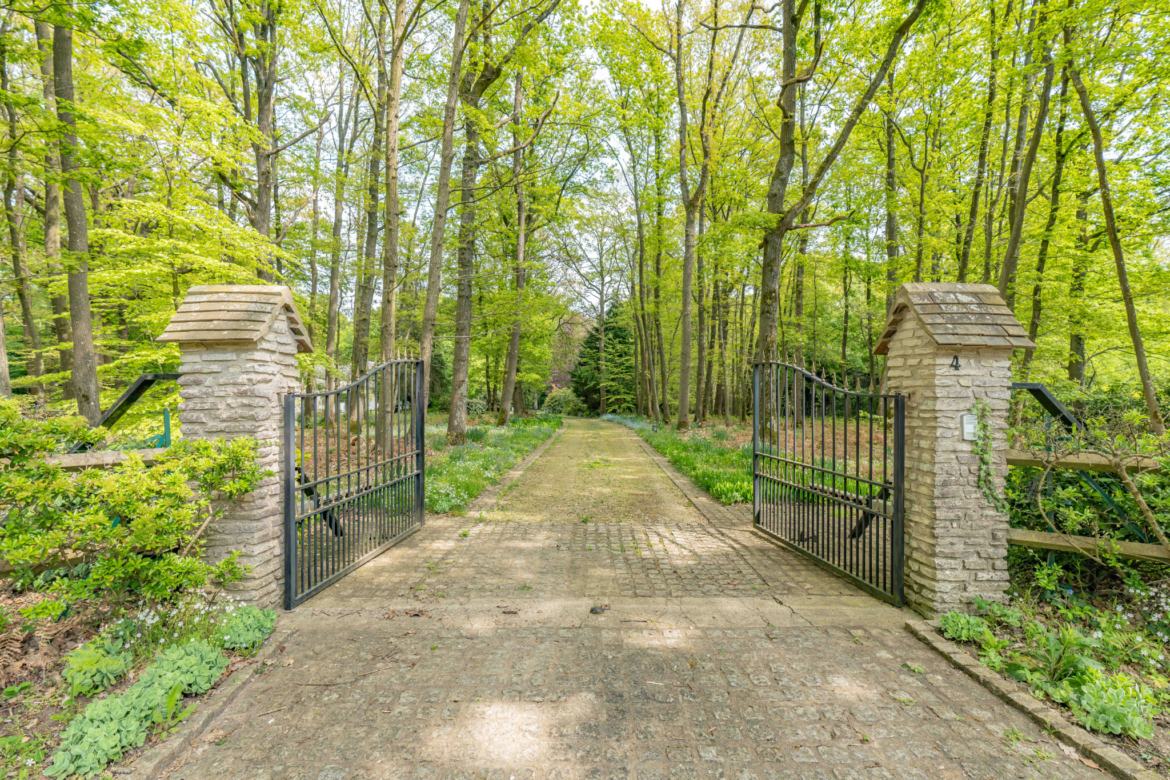 photo_65dac89b6947e583a3472f6148c57b33