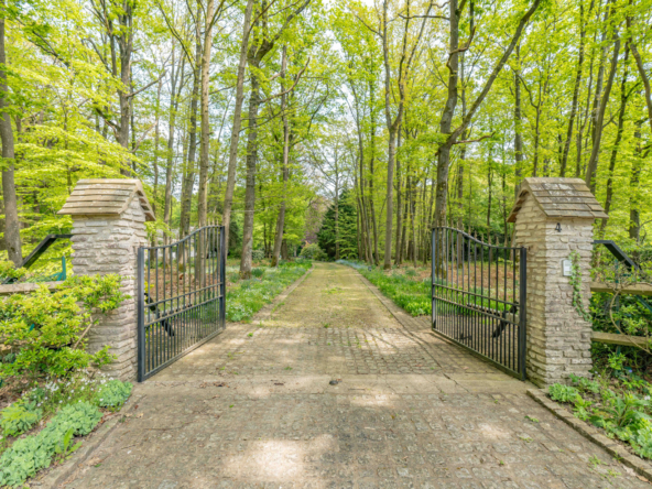 photo_65dac89b6947e583a3472f6148c57b33