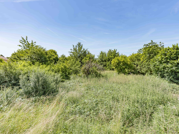 photo_7d501fe10e5538bd3848e41d054d3afd