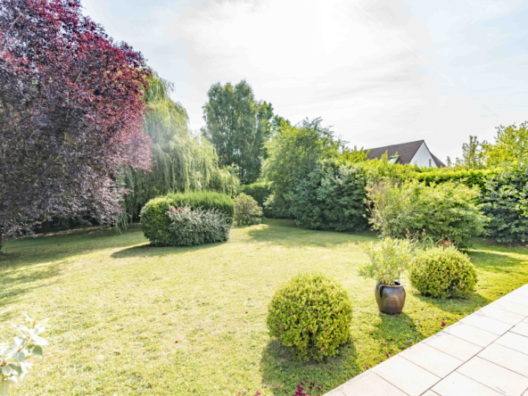 photo_83d3fae090d14974ea2063cece8e3190 photo_83d3fae090d14974ea2063cece8e3190