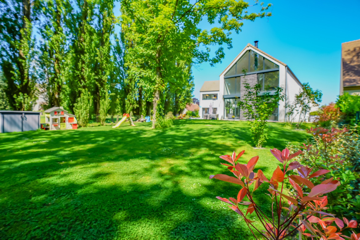 photo_8505d913d61bc3a6d9363cdd344f5f60