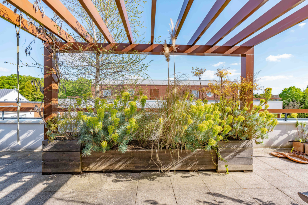 photo_8786967d706587b8882c26317367346a