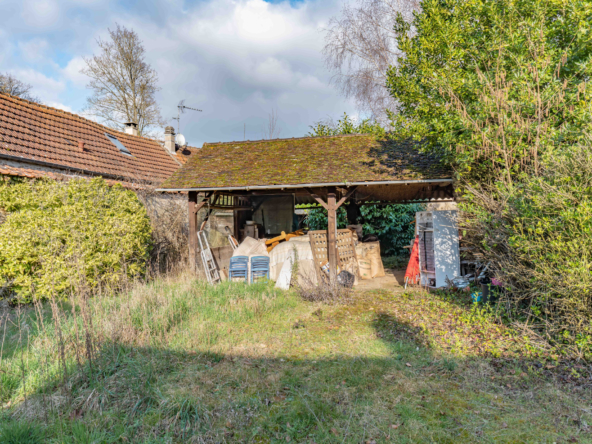 photo_8bf43ad7d16e294757a00b6d1806f671