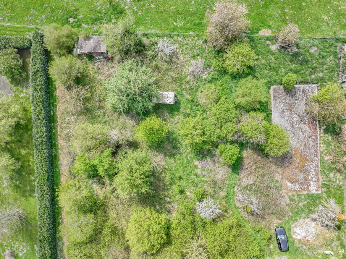 photo_8d41707b307c15699610c92fa68a09f9