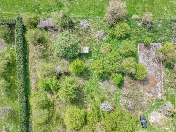 photo_8d41707b307c15699610c92fa68a09f9