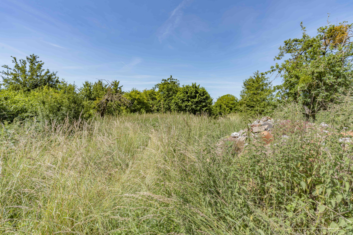 photo_8d5d3c1a696d5b94e60c25c94057ce52