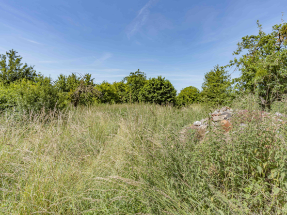 photo_8d5d3c1a696d5b94e60c25c94057ce52