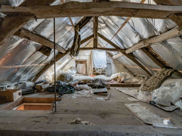 photo_8d8cf795d315a9d1d2523b9f41e1a79b