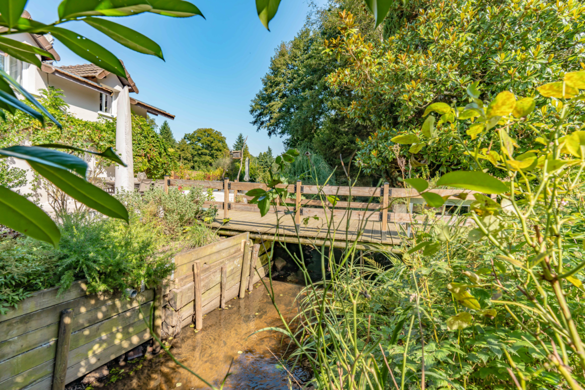 photo_900faa51481b569223db07949ea489af