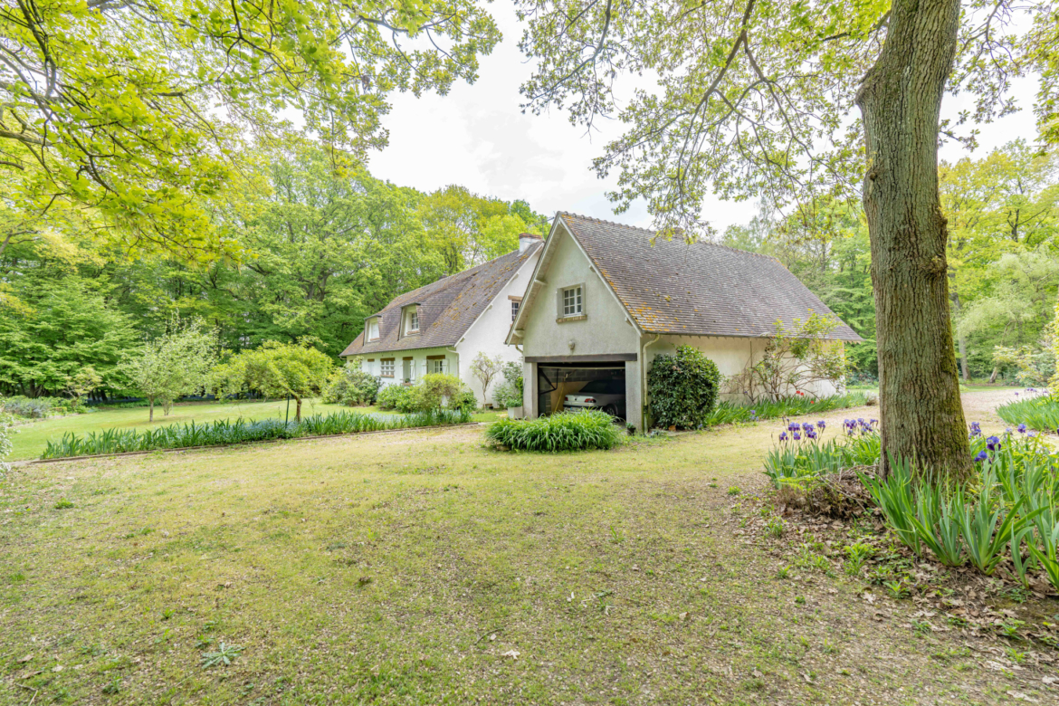 photo_97882e32bf5cb5bea10b5c0d014f1d3d