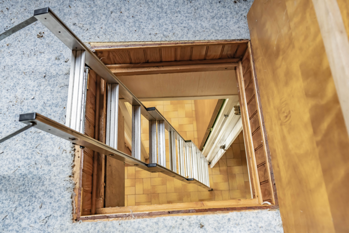 photo_981003d331b3c621546ec39413289d52