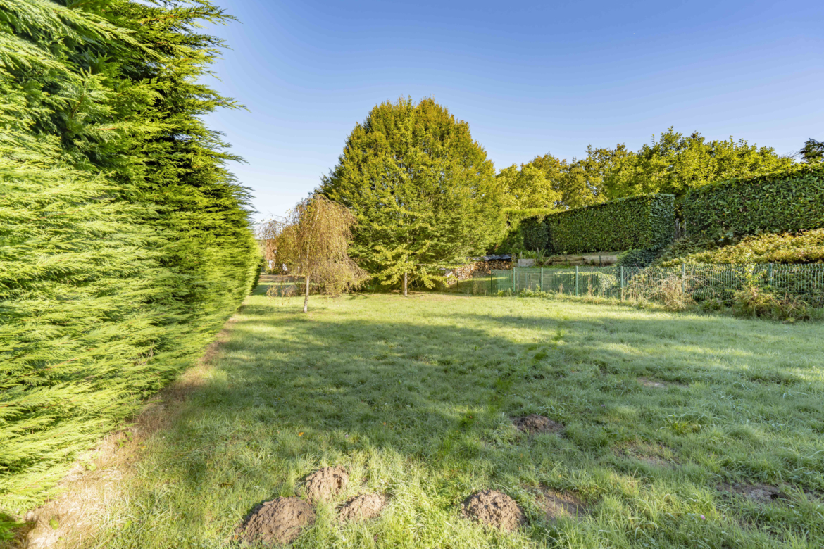 photo_9c5ba50c3101146de6bb6041f0b843fc