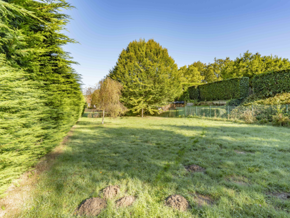 photo_9c5ba50c3101146de6bb6041f0b843fc