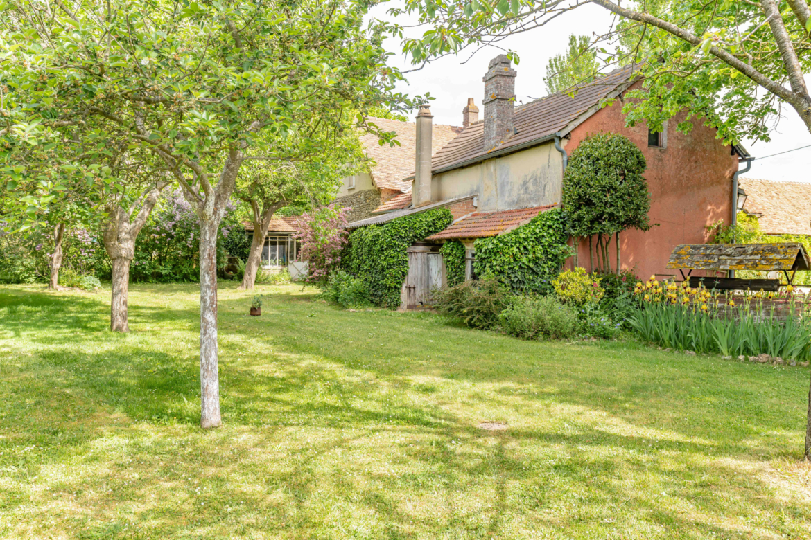 photo_ab0cf1fe8f0029da631885a4116668a8