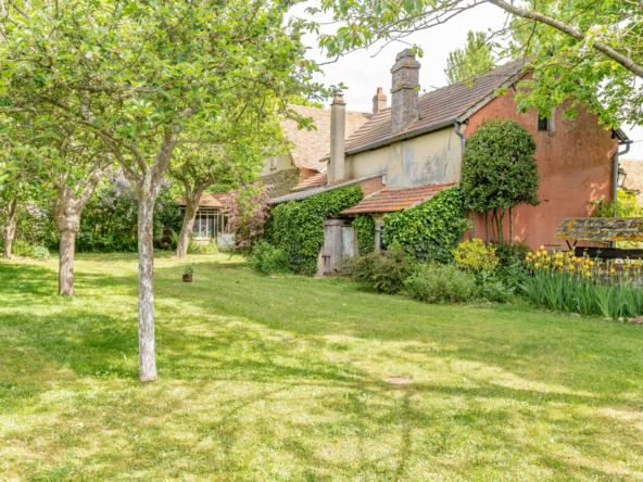 photo_ab0cf1fe8f0029da631885a4116668a8