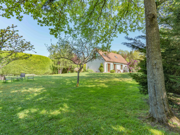 photo_acfdb3d70bbdff4cffedf2d334297f2b