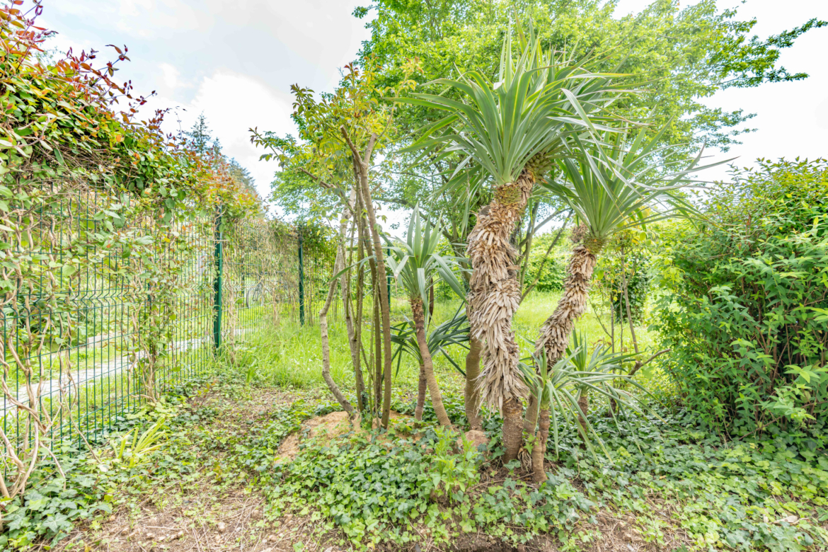 photo_ad496caede92c11073a4a9ded3c42ffa