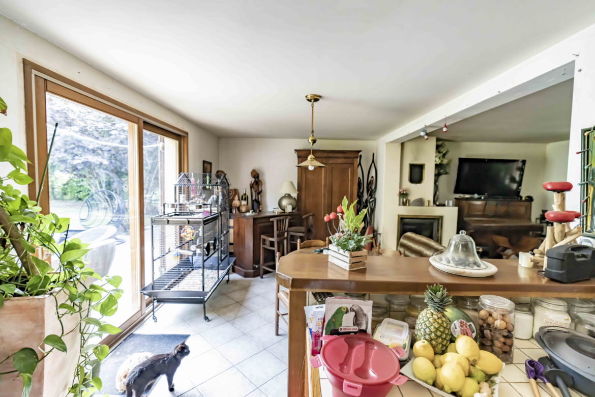 photo_affdc9d4fea8c2721e006ef00c35452f