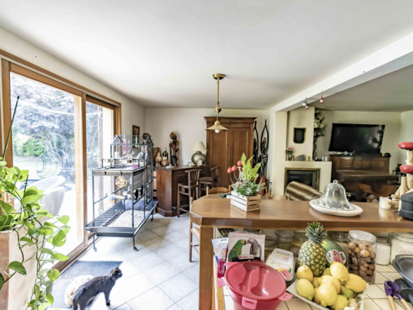 photo_affdc9d4fea8c2721e006ef00c35452f