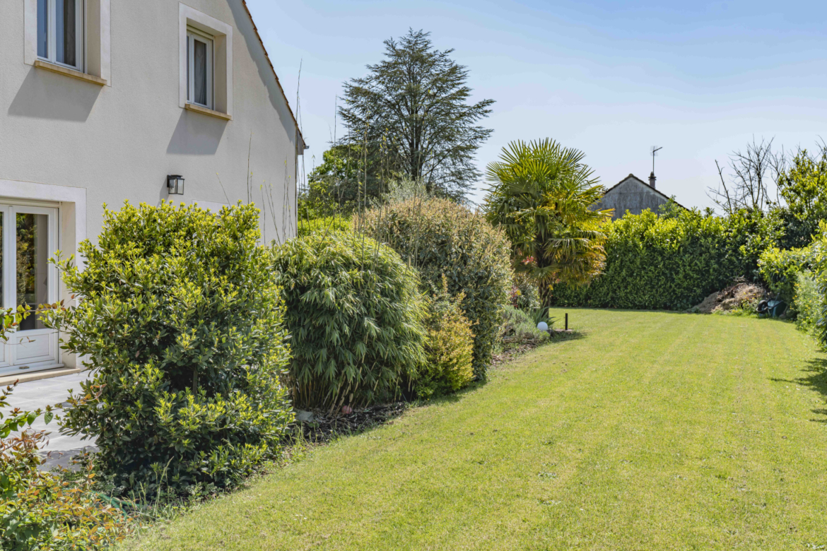 photo_b494edf81ff70bc2e680d723cf40788d