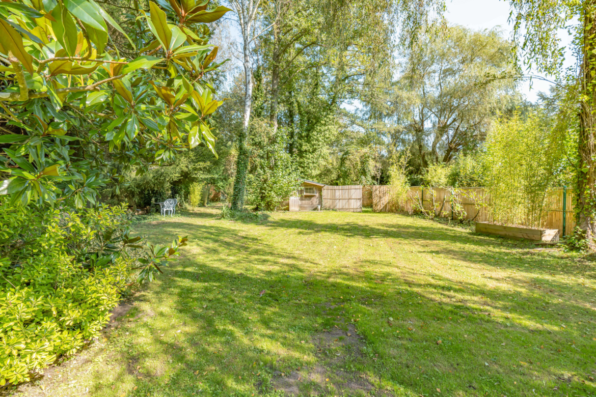 photo_be4adcc0d3f9e83ed31fefd726207c14