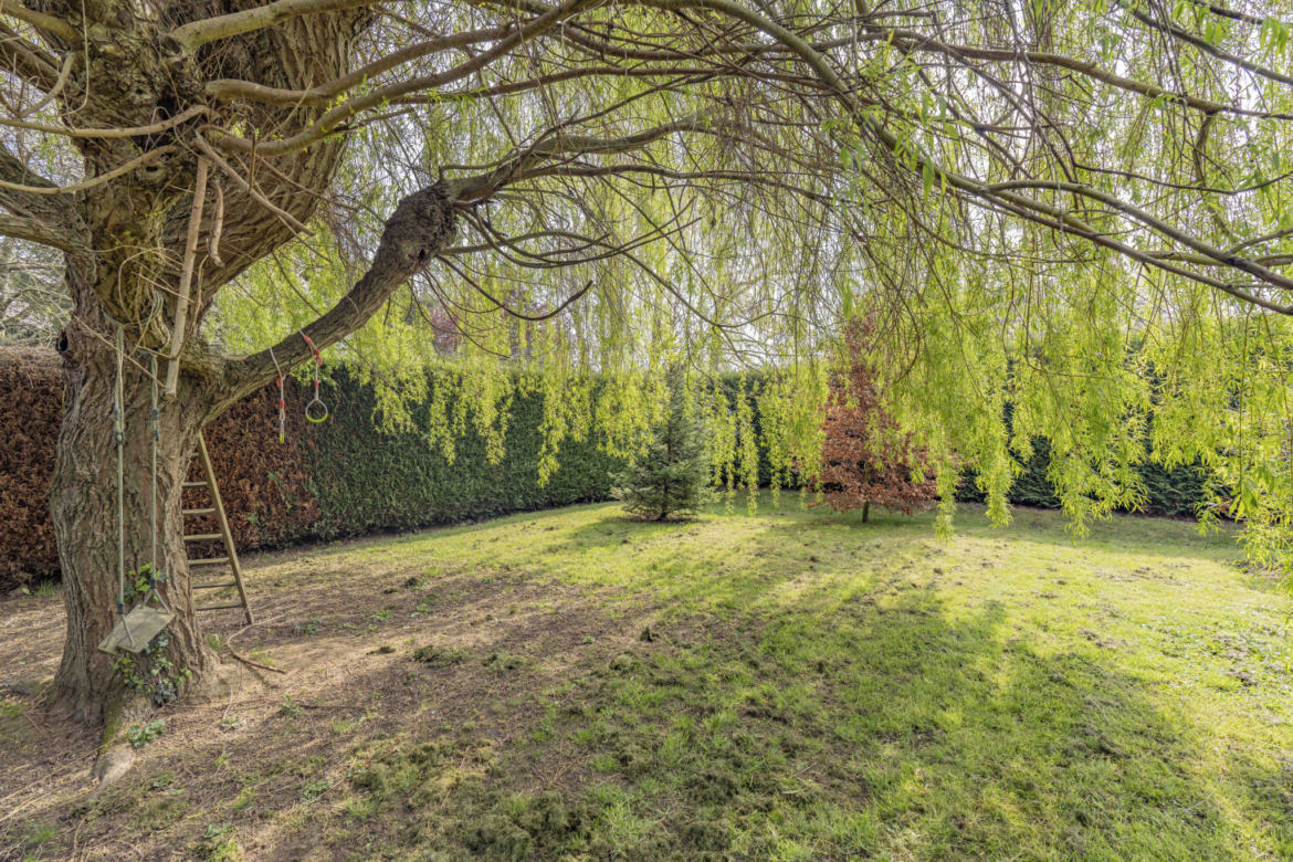 photo_c6b1bbab50f56c19f2481ede386e5411 photo_c6b1bbab50f56c19f2481ede386e5411