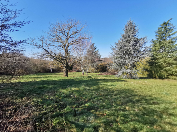 photo_c7c7e03671af02633e40758d26fd552a