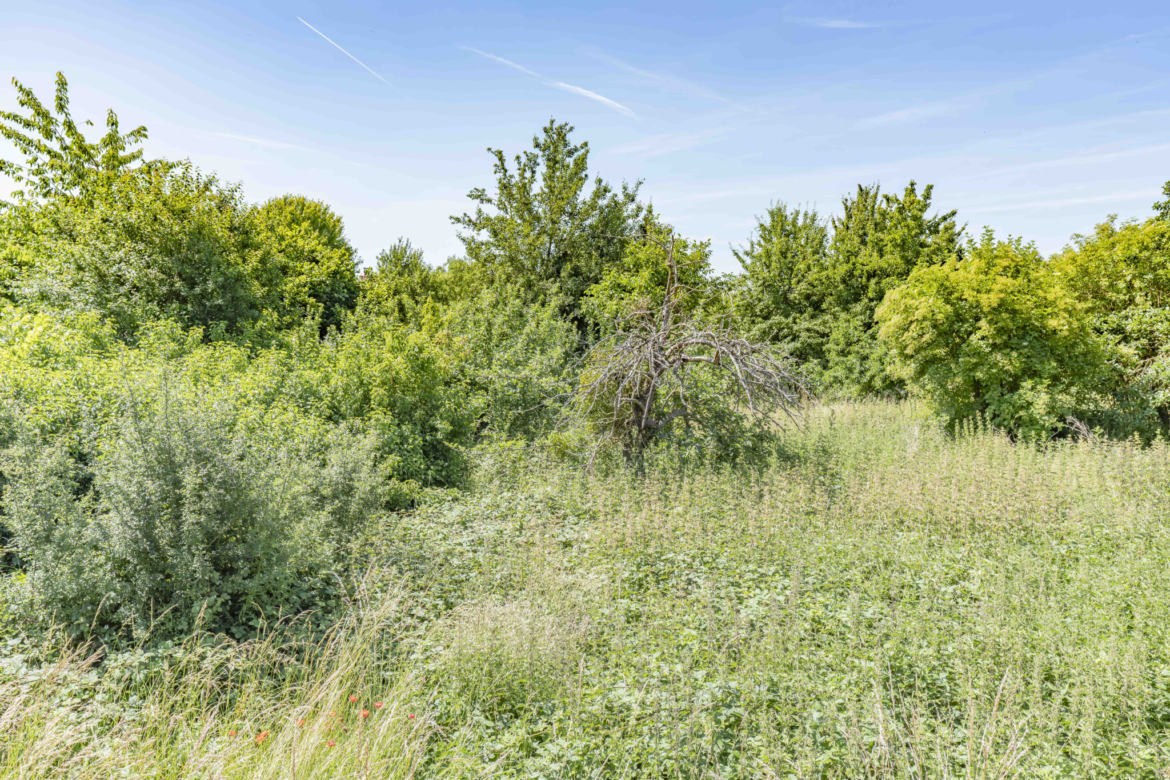 photo_d6a698bce70efbc41a10e3f521b9b18a