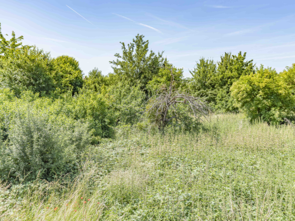 photo_d6a698bce70efbc41a10e3f521b9b18a