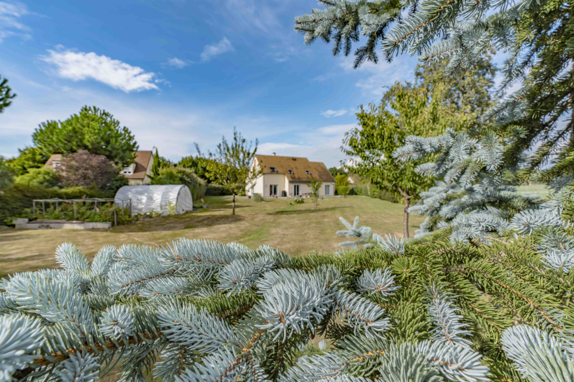 photo_d86bd630f1cc47517929f74cc636433b