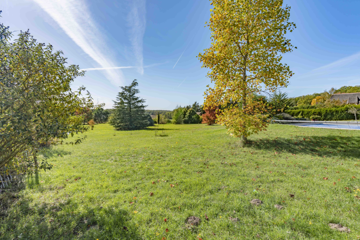 photo_d92c5b3867ab5e265f7aa0b5e65a6509