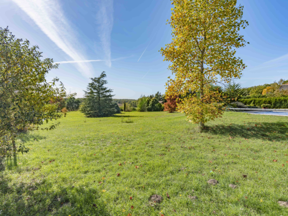 photo_d92c5b3867ab5e265f7aa0b5e65a6509