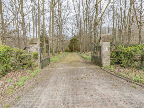 photo_da4d159b56d542bfc334d7cc5b3606d6