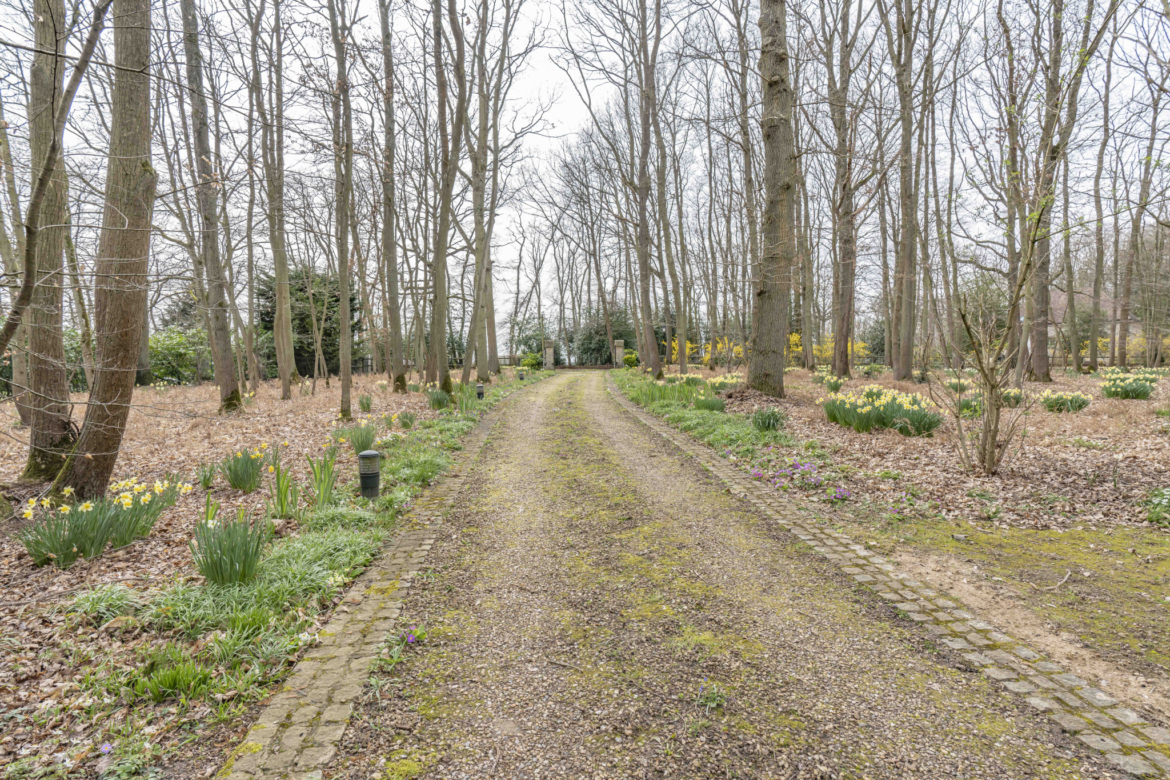 photo_dc1eb732604155ac6f411010cbe497f5