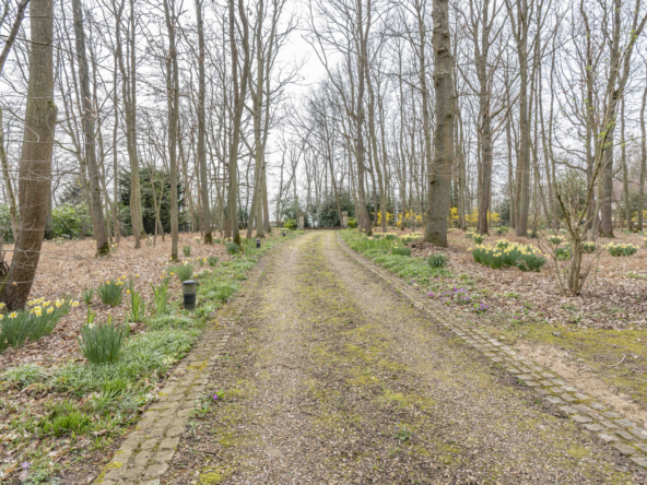 photo_dc1eb732604155ac6f411010cbe497f5