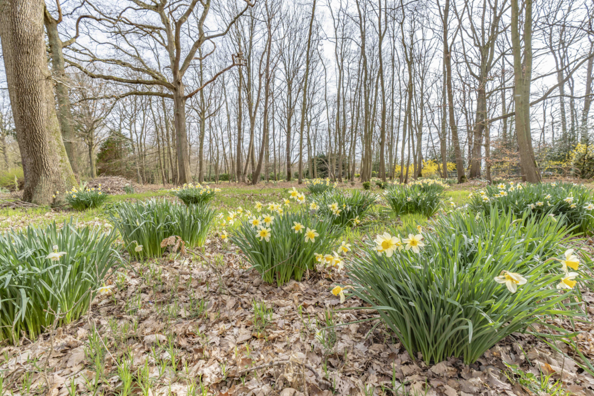 photo_ea2e6ec12a608fe7bf28b23c0d35db9a