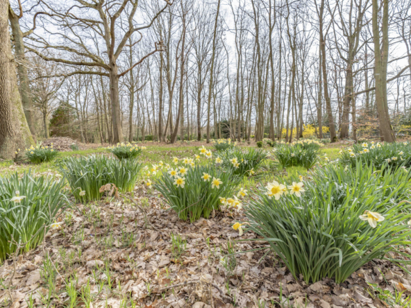 photo_ea2e6ec12a608fe7bf28b23c0d35db9a