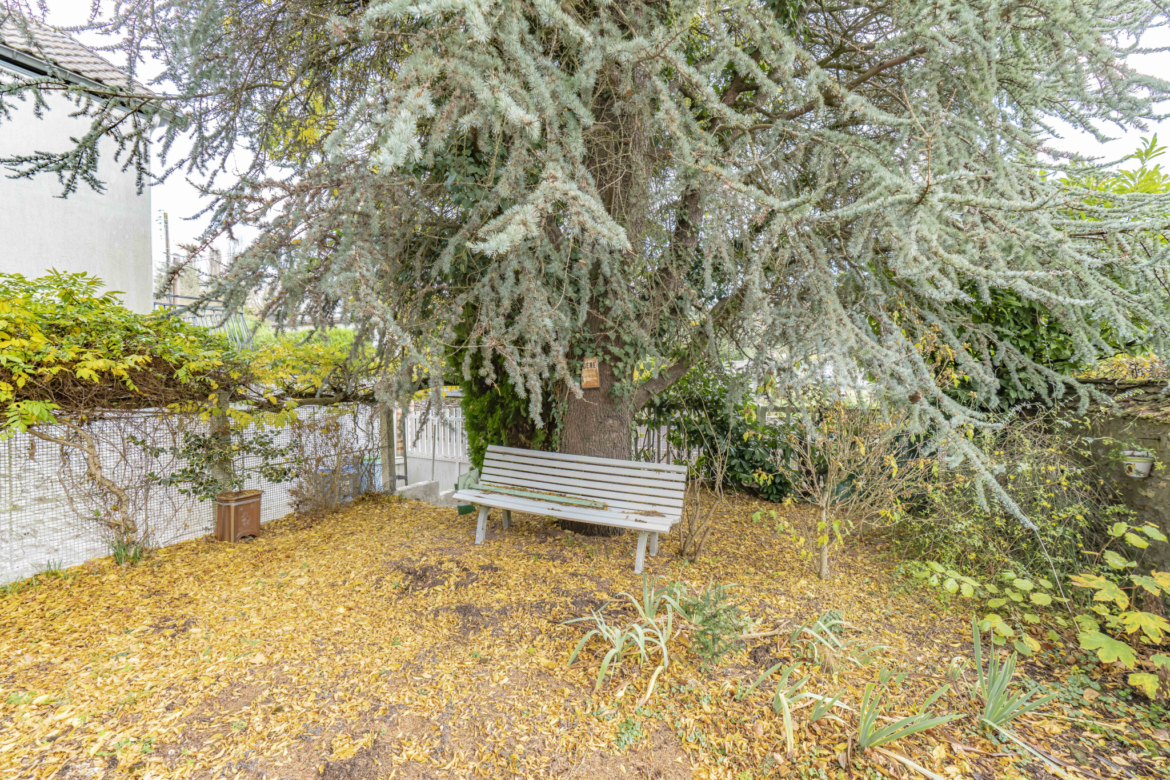 photo_fe19d99607f5cd63ddbb30bd4ea58482