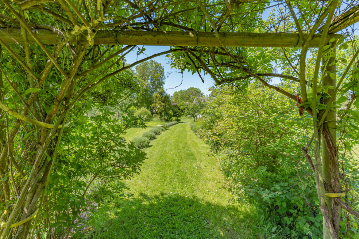 photo_dbc276098291aaae4d73db504203691a