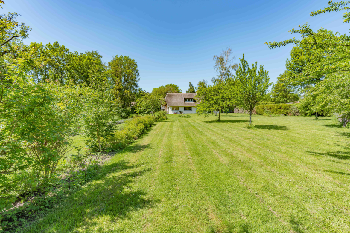 photo_e0e849abe346a4d1719b28c10b422253