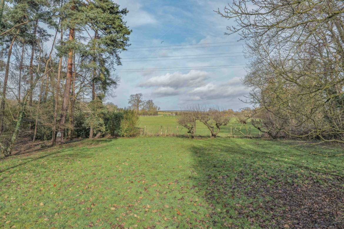 photo_3eab49a4e54ff8ffd0b5fb8db825c67c