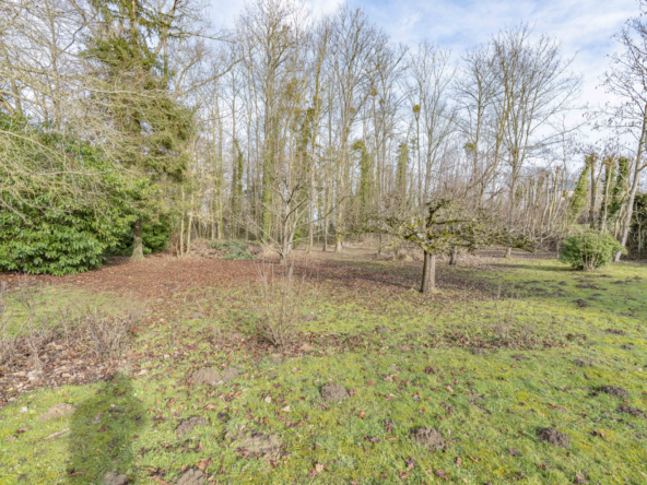 photo_7bf1f64c2cfc46503c0361c17dbac177