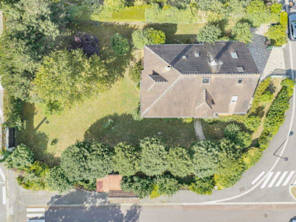 photo_73de2dc5b04348e6112a856cc278a758